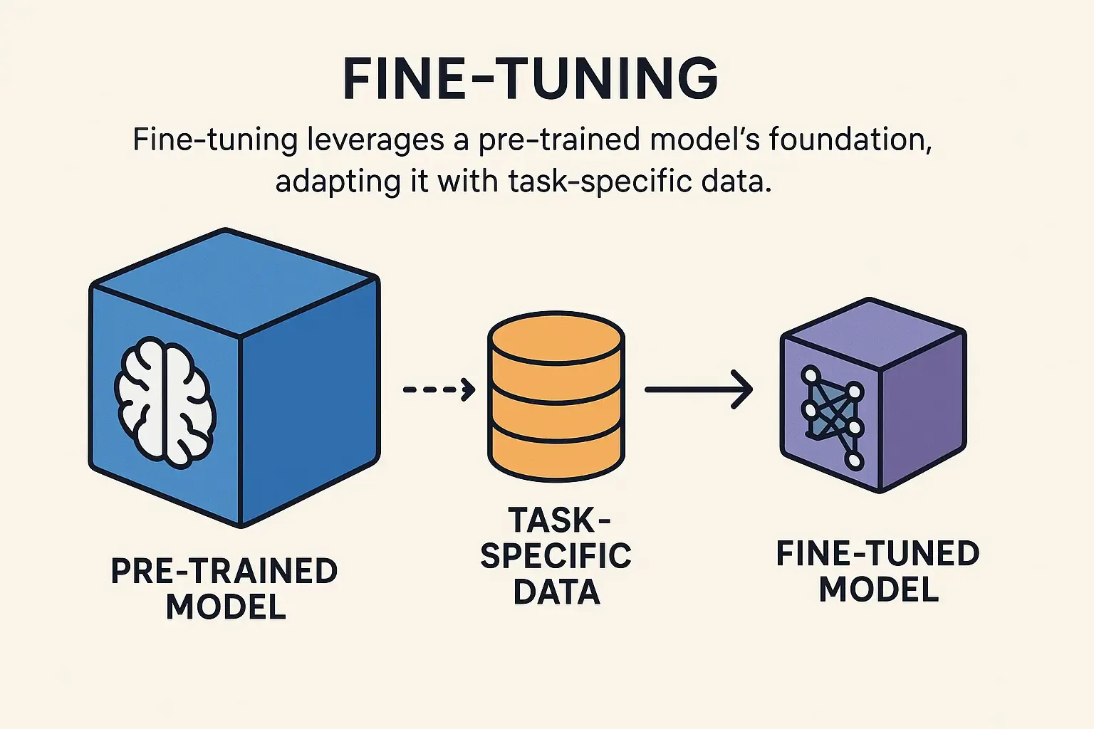 Fine-tuning leverages a pre-trained model's foundation, adapting it with task-specific data.